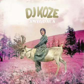 Amygdala by DJ Koze