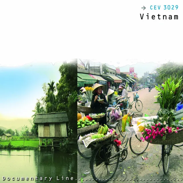 Vietnam (Documentary Line)