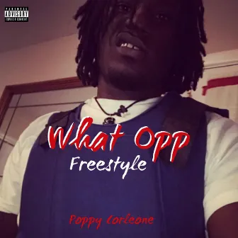 What Opp(freestyle) by Poppy Corleone