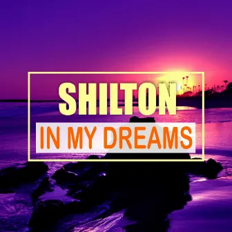 In My Dreams by Shilton