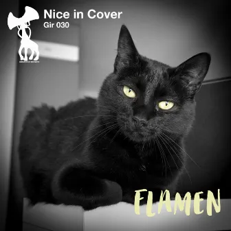 Nice In Cover by Flamen