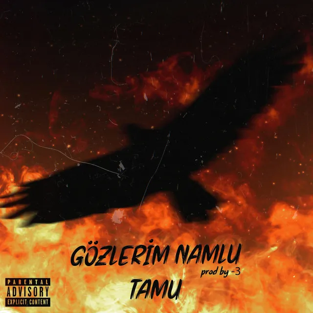 Gözlerim Namlu