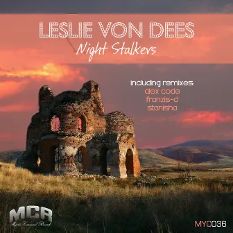 Night Stalkers by Leslie Von Dees