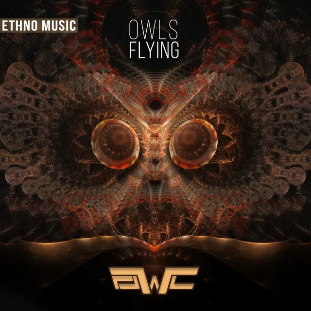 Owls Flying - Original Mix