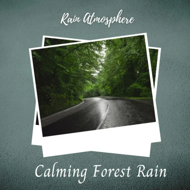 Rain Atmosphere: Calming Forest Rain