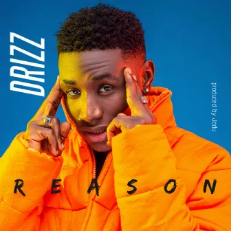 Reason by Drizz