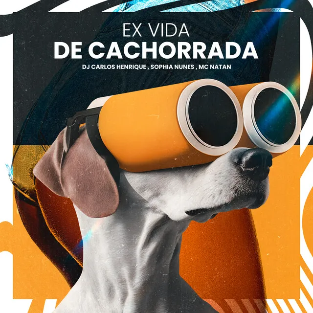 Ex Vida de Cachorrada