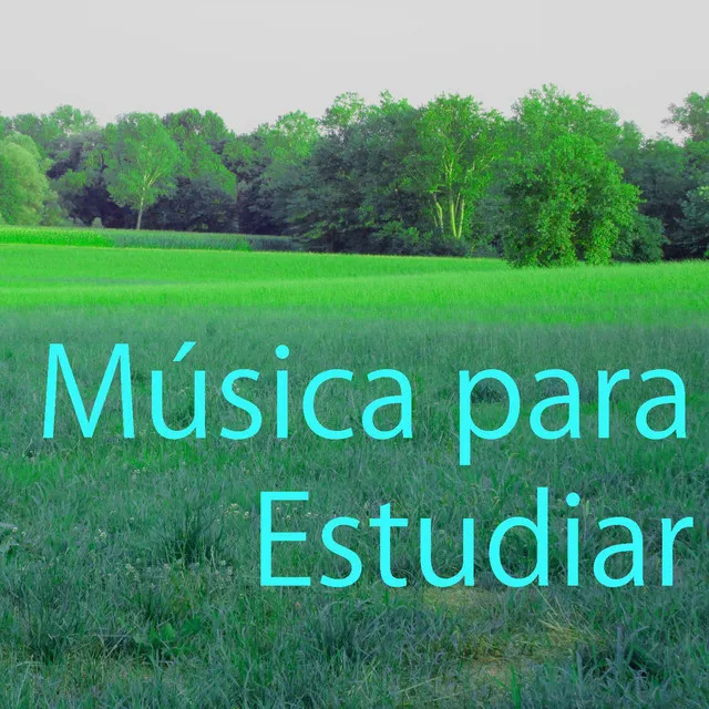 Música para Estudiar 3