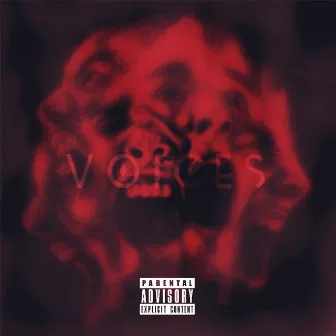 Voices by Stoic