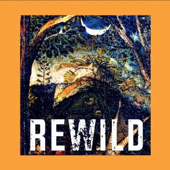 Rewild by Avid Beats