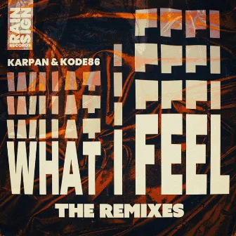 What I Feel (The Remixes) by Karpan