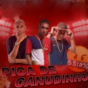 Pica de Canudinho by Ws Na Voz