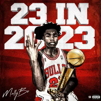 23 In 2023 by Mally Bo