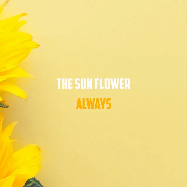 The Sun Flower