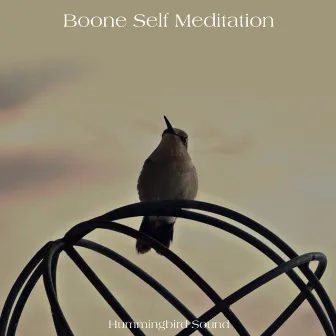 Hummingbird Sound by Boone self meditation