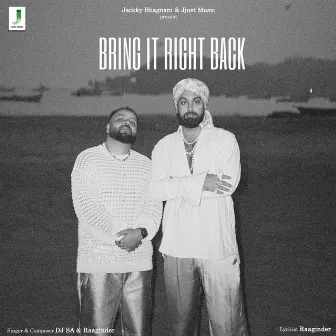 Bring it Right Back by Raaginder