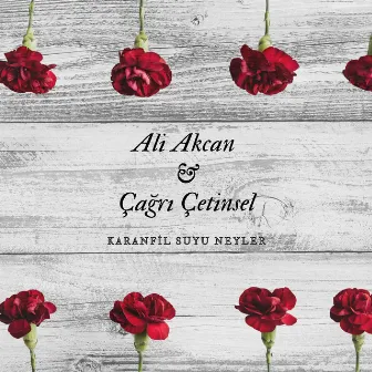 Karanfil suyu neyler by Ali Akcan