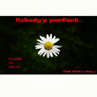 NoBody's Perfect by Chanis