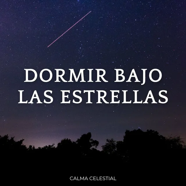 Dormir Bajo Las Estrellas: Calma Celestial