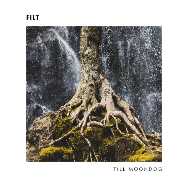 Till Moondog