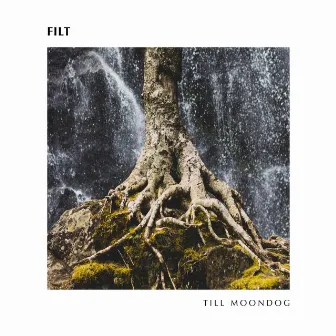 Till Moondog by FILT