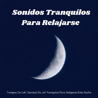 Tiempos De Lofi: Sonidos De Lofi Tranquilos Para Relajarse Esta Noche by 