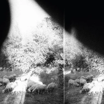 Asunder, Sweet and Other Distress by Godspeed You! Black Emperor