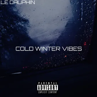 Cold Winter Vibes by LE DAUPHIN