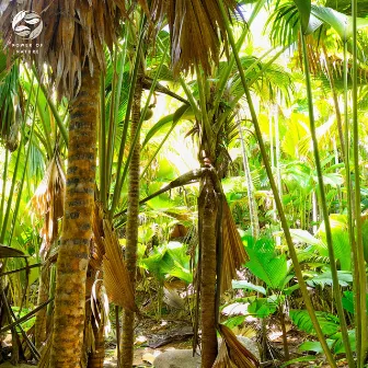 Panoramic Soundscape Of Jungle Life by 