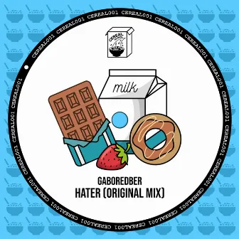 HATER (Original Mix) by gaboredber