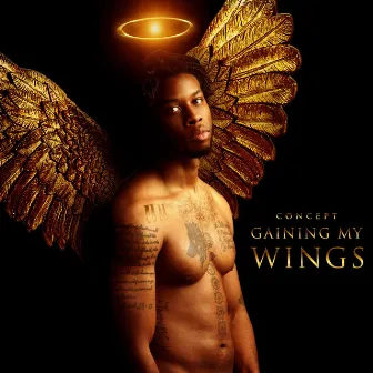 Gaining My Wings by Concept