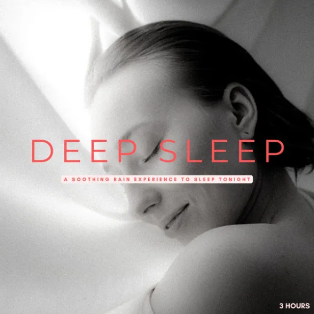 Deep Sleep: A Soothing Rain Experience To Sleep Tonight - 3 Hours