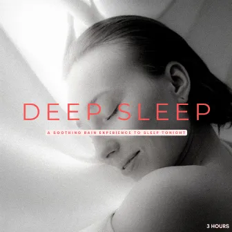 Deep Sleep: A Soothing Rain Experience To Sleep Tonight - 3 Hours by Sleep Sounds with White Noise