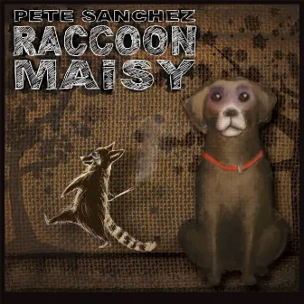 Raccoon Maisy by Pete Sanchez