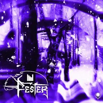 Fester EP by Nvctve