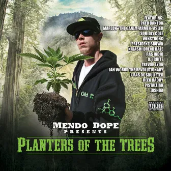 Planters of the Trees by Mendo Dope