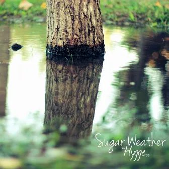 Hygge by Sugar Weather