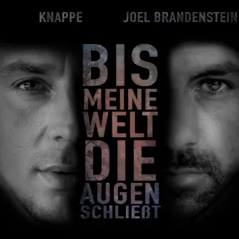 Bis meine Welt die Augen schließt by Joel Brandenstein