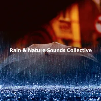 Rain & Nature Sounds Collective by Unknown Artist