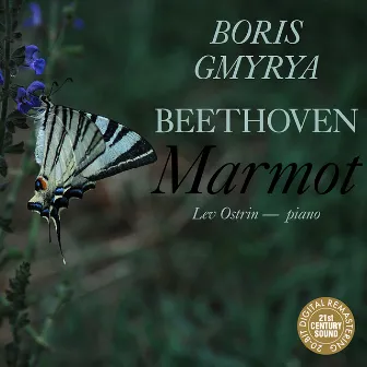 Beethoven: Marmot by Boris Gmyrya