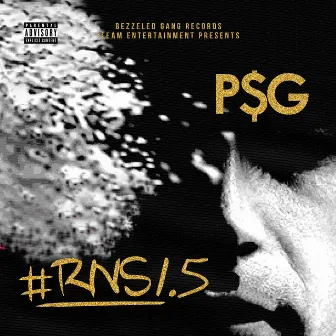 RNS 1.5 by P$g