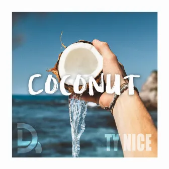 Coconut by TY nice