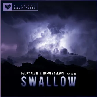 Swallow by Feliks Alvin