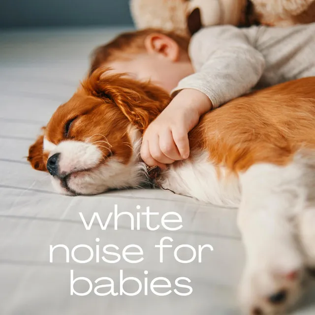 White Noise for Babys