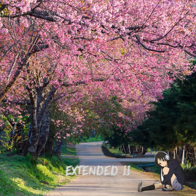 EXTENDED II