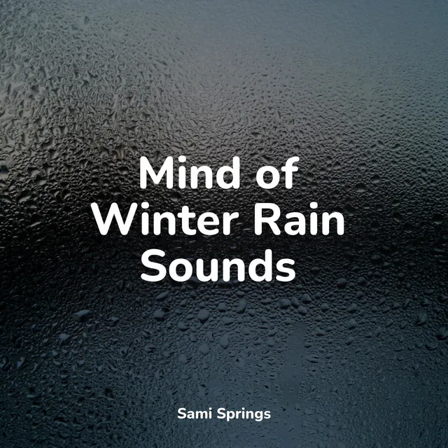 Mind of Winter Rain Sounds