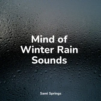 Mind of Winter Rain Sounds by Pro Sound Effects Library