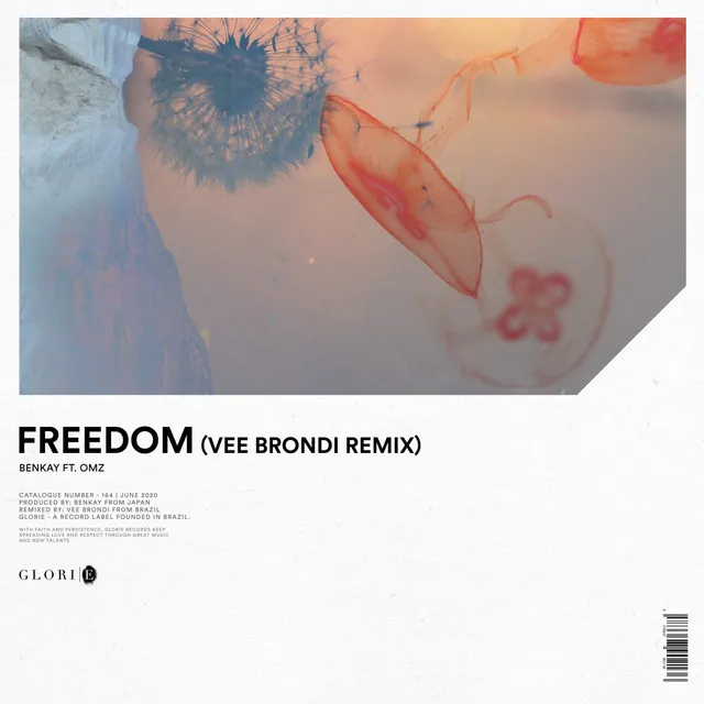 Freedom - Vee Brondi Remix