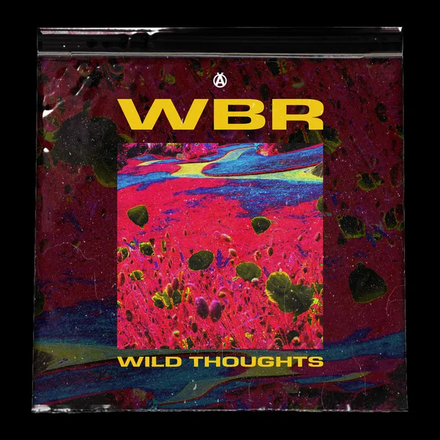 Wild Thoughts - SDB Remix