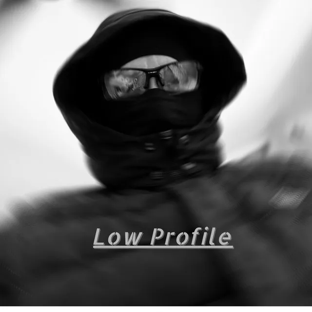 Low Profile